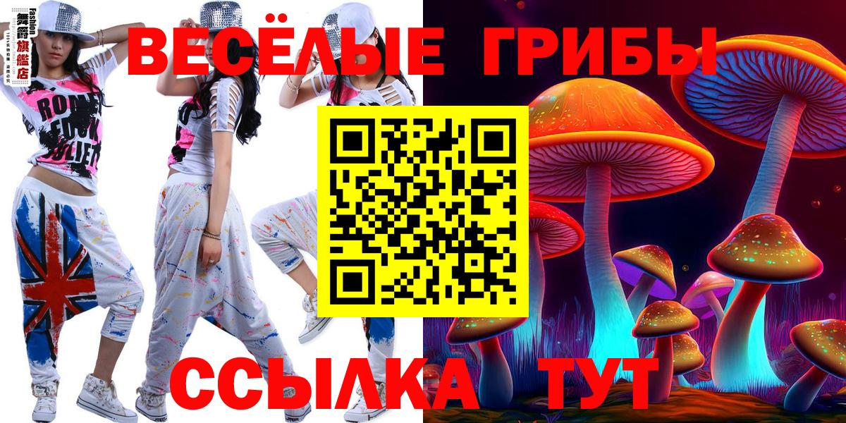 Псилоцибиновые грибы Psilocybine cubensis  Вход с VPN  Астрахань 